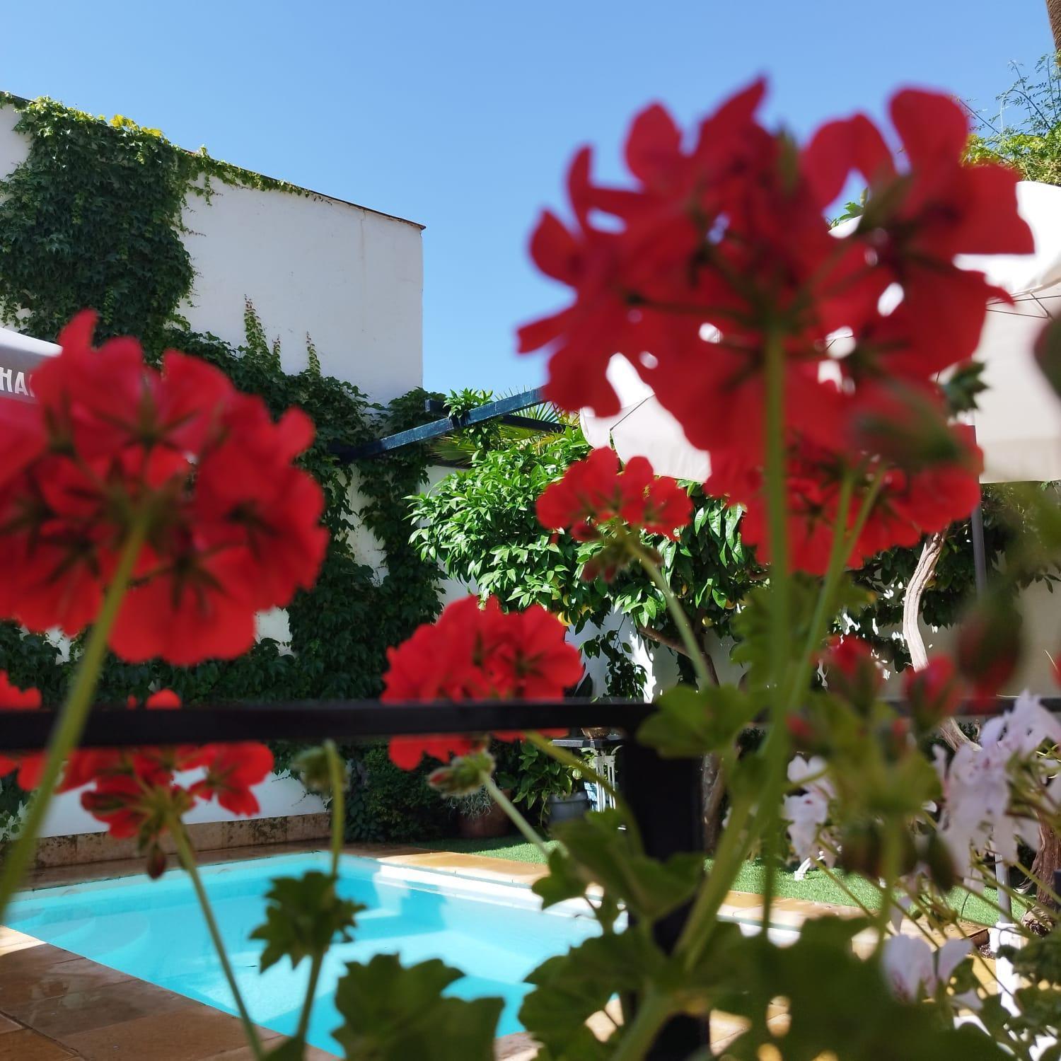 Suite Comares Granada Exterior photo
